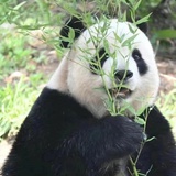 飞云之上