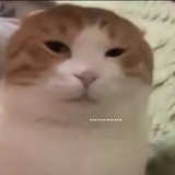 偶尔缺糖