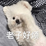 就叫这个吧