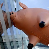 就叫我张如歌吧