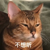 洗洗烟囱
