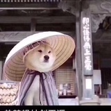 申蒙包