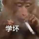 心如止水