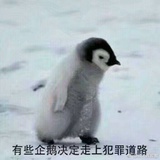 薄荷奶绿