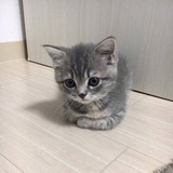 把太阳吃掉