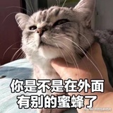 小可爱