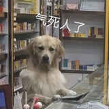 toto想