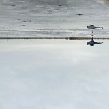 维特跟不上斯坦