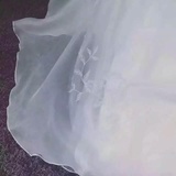 所象