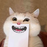 Koji