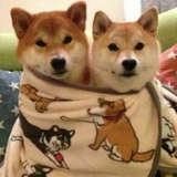独到天亮