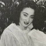 雾川来信
