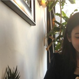 固执犀牛