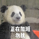 今天有长进吗