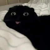 熬夜好饿