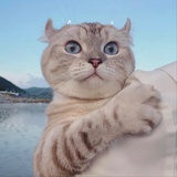 汤圆咖啡