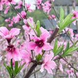 豆友165846561