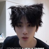 TF家族-养鱼佬