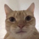 训坤