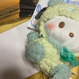 安德鲁加菲猫