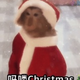 马什么也看不到
