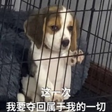 冰峰苏打