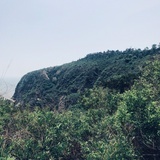 已注销