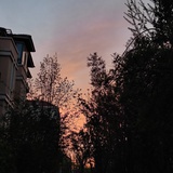 EveningEvelyn