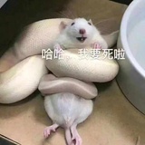 小小波
