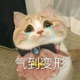 小可怜