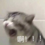 拿拿