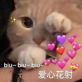 小猪宝