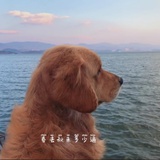 未尽