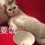 赵珂是我老婆
