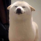 似是故人来~