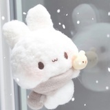 蝴蝶