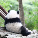 拾贰满