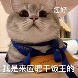 海淀区毛不易