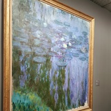 小小哈勃