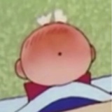 一只萝卜