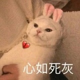 沐瑶
