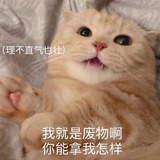 随时跑路