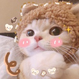 小喵喵