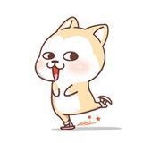 逆风刮痧猫