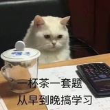 雨栖