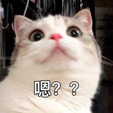 马鹿