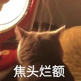 言鸽