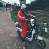 何著