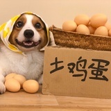 藕粉桂花糖糕