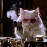 疯狗攻击型人格